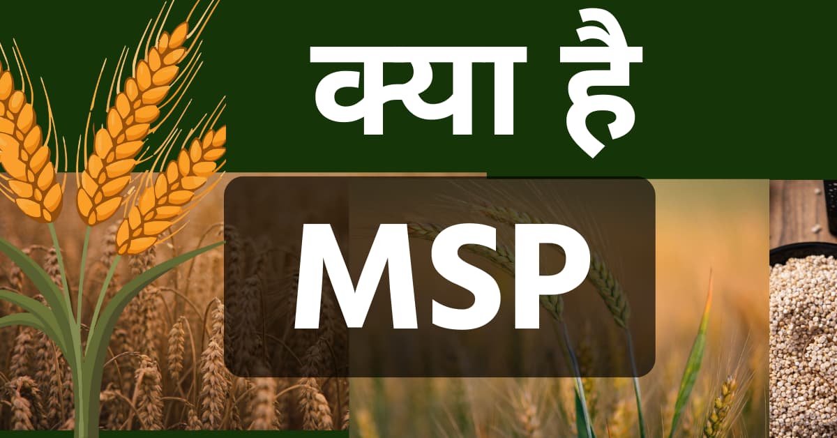 What is MSP : benefits and key points of msp 2024