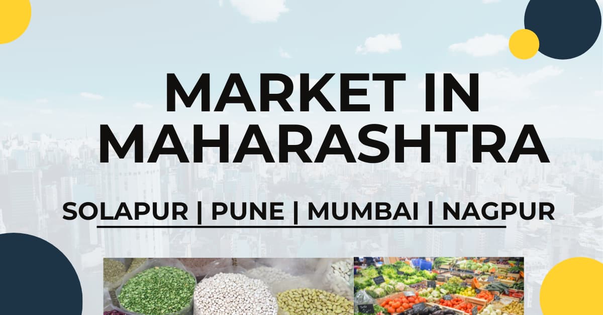 Market in Maharashtra: Solapur | Pune | Mumbai | Nagpur 2024