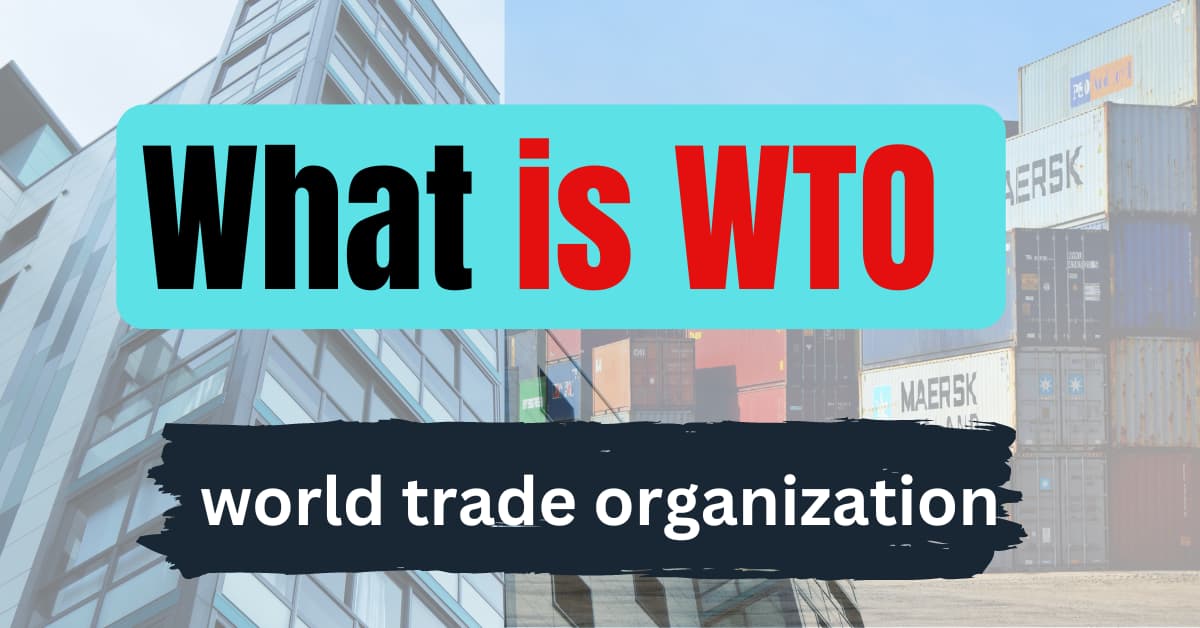 What is WTO: MSP | DIRECTOR | INDIA | 2024