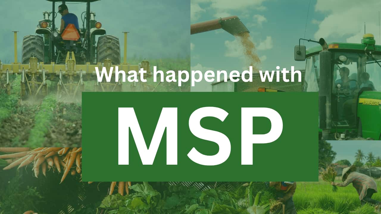 What happened with MSP 2024 latest updates on MSP INDIA